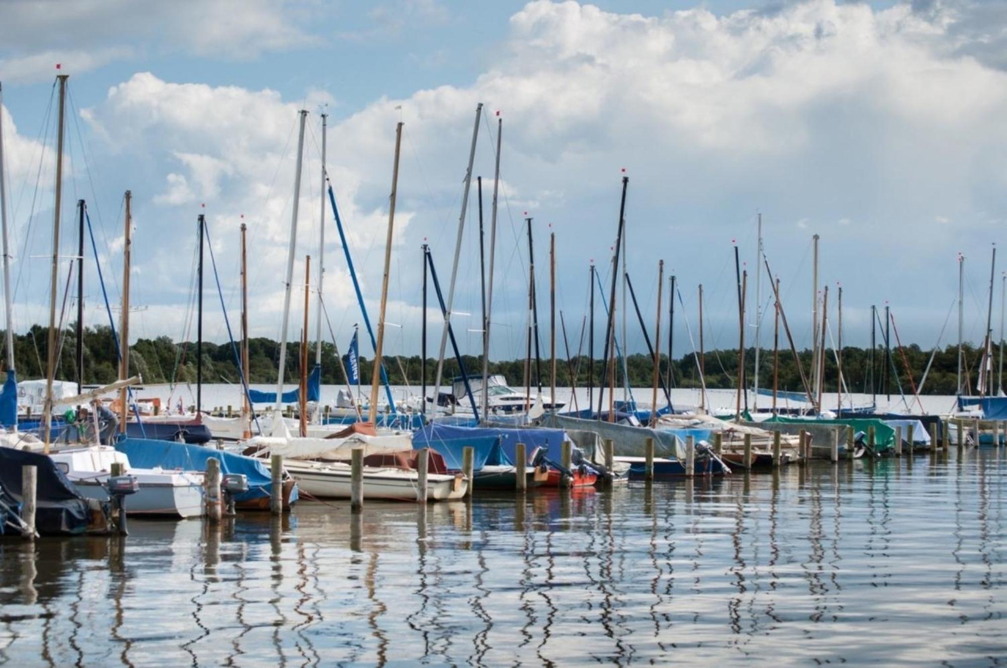 Grosse Nordseewelle Ohne Hund Norden Luaran gambar